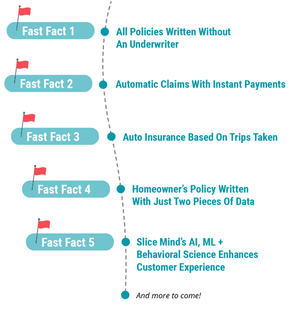 Slice_5_Fast_Facts_2021@2x-1